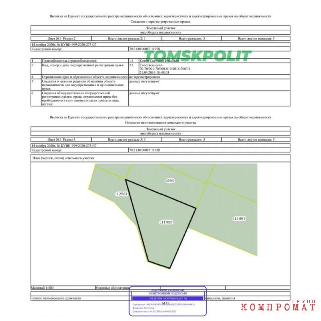 Выписка из ЕГРН подтверждает, что земельный участок до сих пор находится в собственности Светланы Кляйн