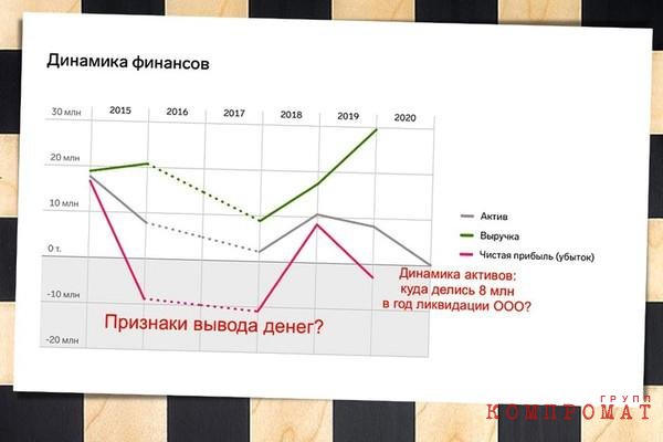 Аномалии финансовой отчетности ООО "Чесскаст"