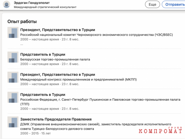 Страница Эрдогана Гундузполата в соцсети Linkedin