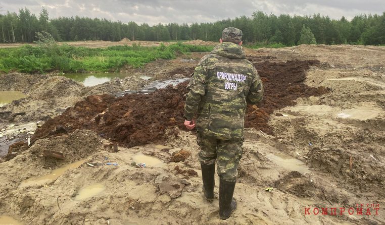 ХМАО получил новую точку экоцида в лесфонде под Сургутом. Депнедра свалили вину на Природнадзор, а тот – на прокуроров