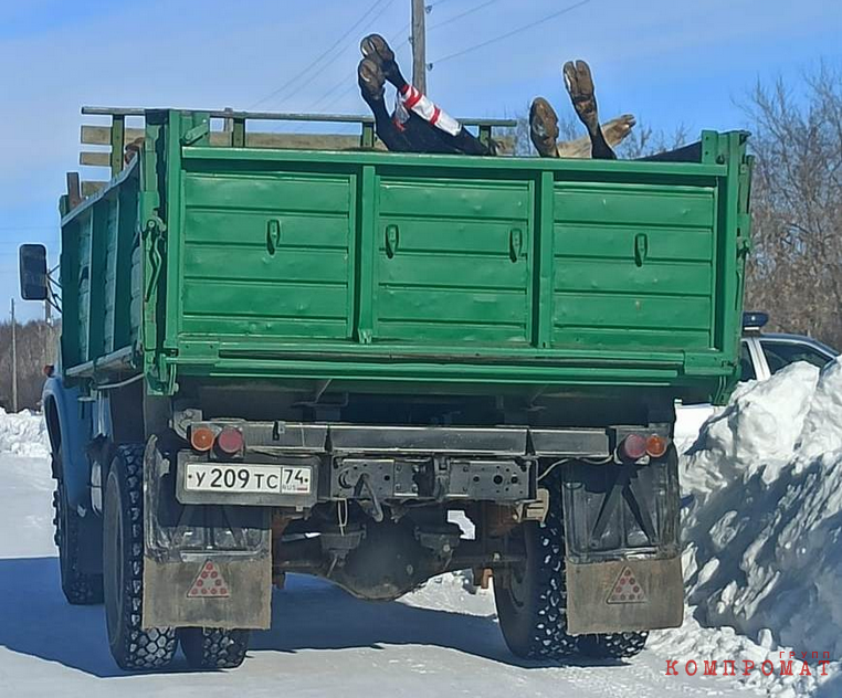 Челябинские силовики пришли на «ЮГК» из-за массовых отравлений. Зараженные трупы бросили в десятках километров от места ЧП