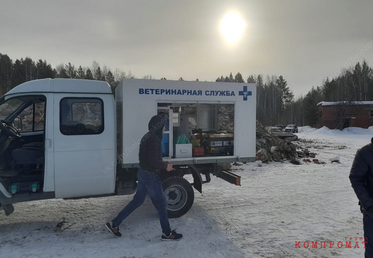 «Экоцентр» превращает Зауралье в скотомогильник. Тонны биоотходов утилизируют фирмы со шлейфом претензий от надзоров